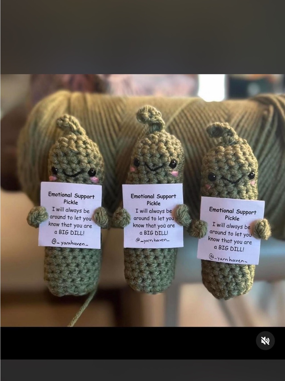 Handmade Emotional Support Pickle